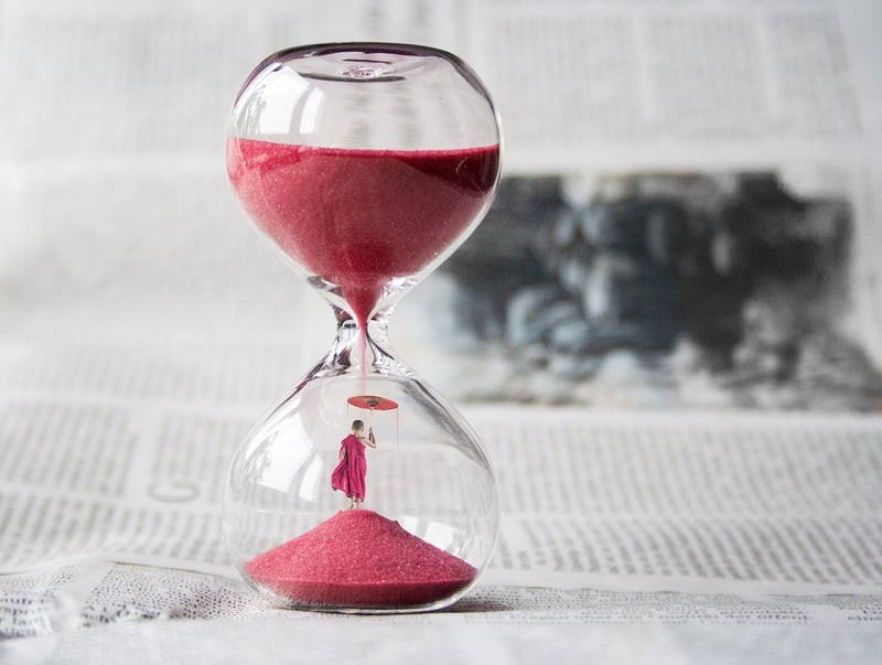 The Time Traveler's Wife